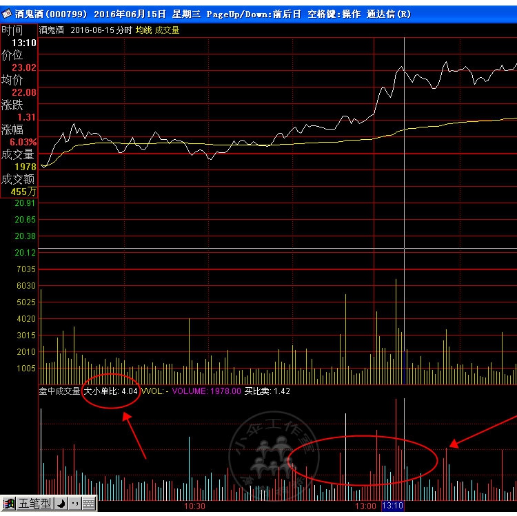 盘中成交量 炒股指标公式分时副图 分时成交量分析大小单比有源码