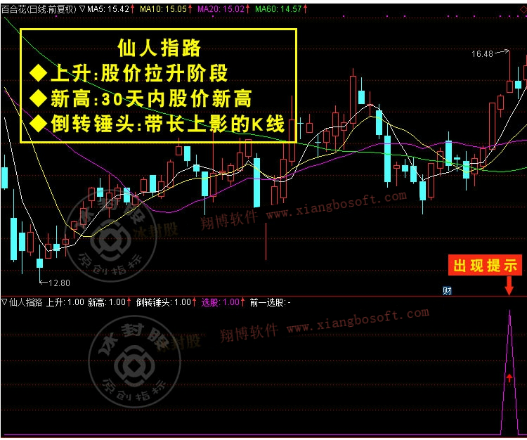 仙人指路形态图解(仙人指路形态图解图片)